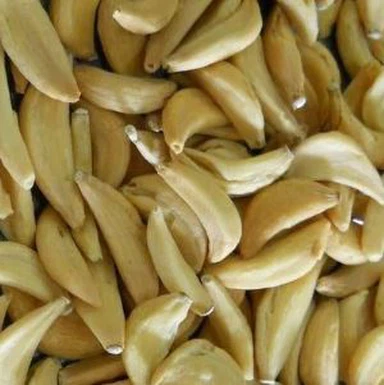 Ulas Bawang Putih Dehidrasi