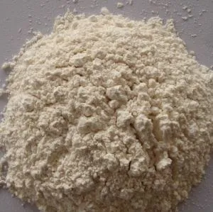 Serbuk Bawang Putih Organik Pukal