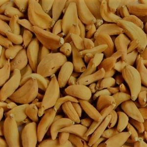 Kepala Bawang Putih Panggang